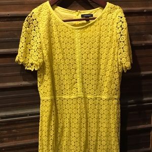 Yellow lace dress.  Lands End great wedding guest!